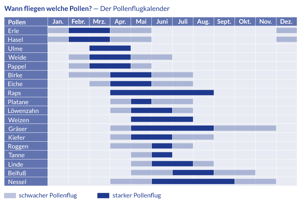 Der Pollenflugkalender Eine Tabelle (Pollenflugkalender) zeigt, in welchem Monat welche Pollen fliegen.