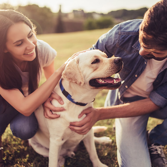 Eine Frau und ein Mann sitzen auf einer Wiese und streicheln einen Hund, der zwischen ihnen sitzt. Beide zeigen keine hundeallergietypischen Symptome.