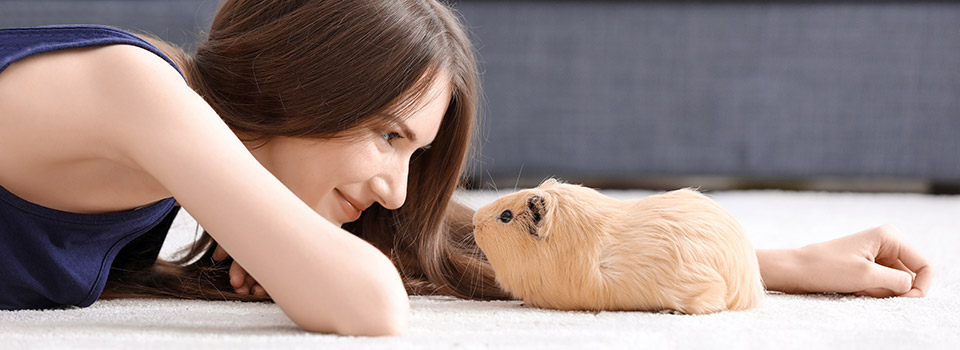 Ein Mädchen und ein Meerschweinchen liegen zusammen auf einem Teppich.