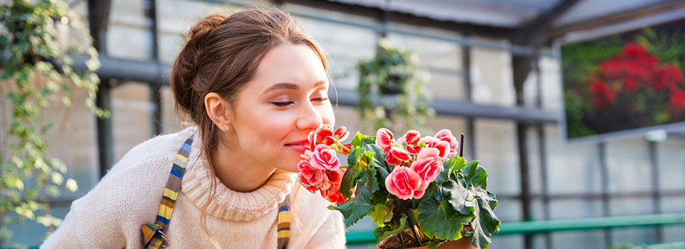 Eine mögliche Folge der sogenannten Nasenspray-Sucht: der Verlust des Geruchsinns. Eine Frau riecht an einer Blume.