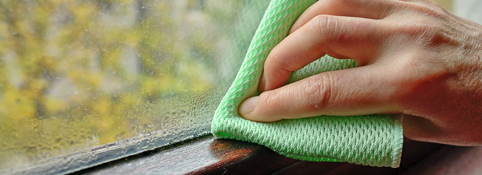 Auch Hausstaub kann zu allergischen Beschwerden führen. Nahaufnahme einer Hand mit einem Lappen, die ein Fenster von Feuchtigkeit befreit.